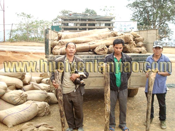 Sander wood worth Rs 90 lakh seized