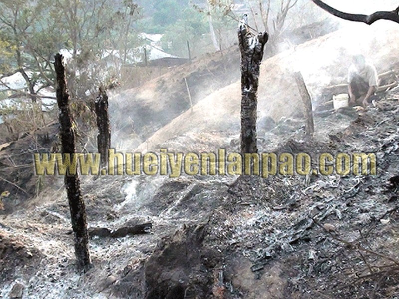 Forest wild fire at Kakching on April 18 2014