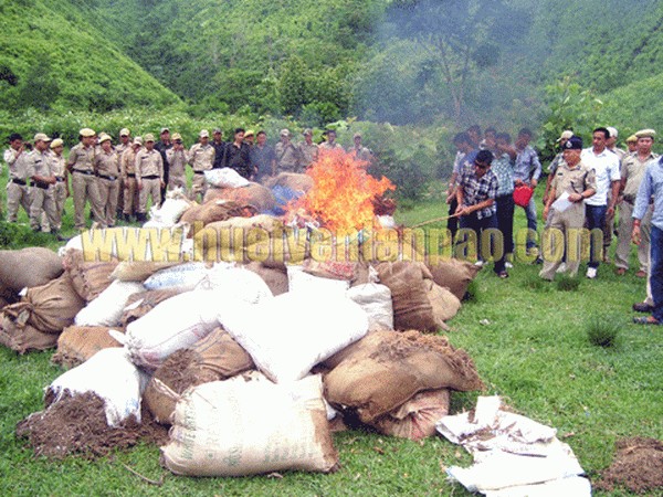 4 plus tonnes of seized Ganja destroyed