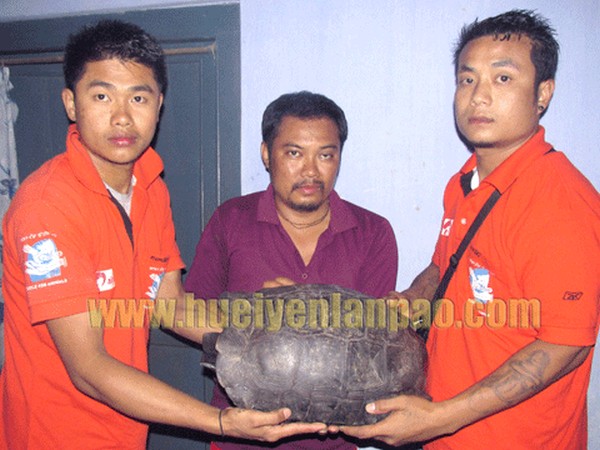 A large tortoise was handed over to PFA by Kenedy Chakpram of Yairipok kekru Mathak