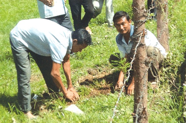 AMUCO goes for tree plantation