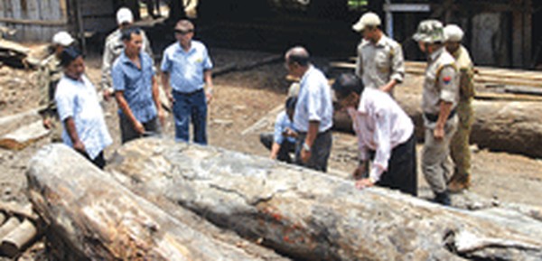 Logs seized from Noney saw mills