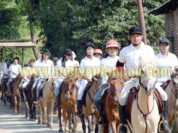 Horse rally calls for saving Manipuri Pony from going extinct