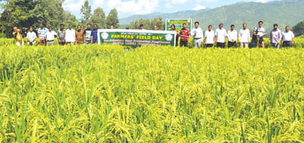 Officials of CAU and Directorate of Extension Education alongwith farmers during the Farmers' Field Day programme at Nongbrang Ngamuthong