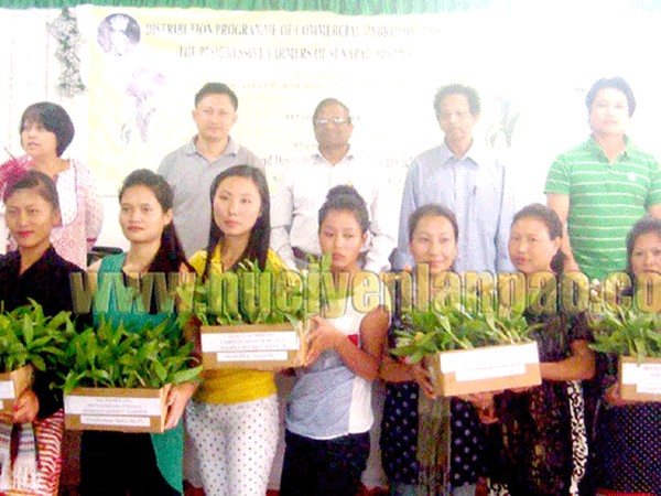 distribution ceremony of commercial hybrid orchid saplings
