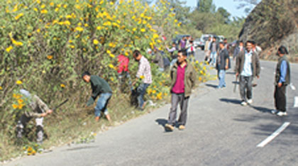 Thickets being cleared along Imphal-Dimapur highway