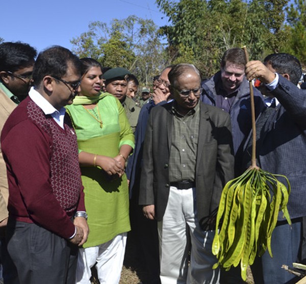 DoNER Secy inspects projects at Senapati