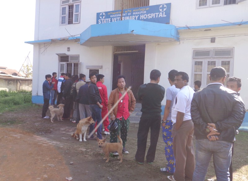 Dog owners visit veterinary dept  for vaccination