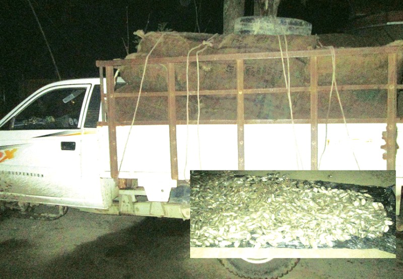 PFA intercepts truck with 60 bags of mussels in Keithelmanbi