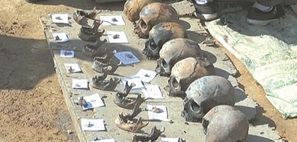 The unearthed human skulls-File photo 