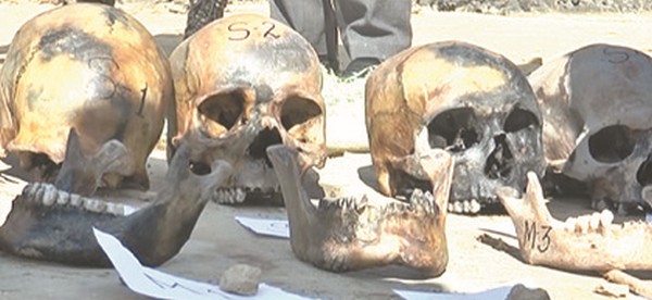 Skulls and skeletal remains discovered from erstwhile Tombisana High School campus