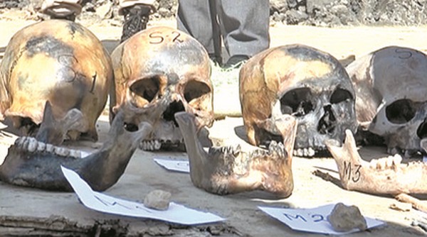  The discovered human skulls 