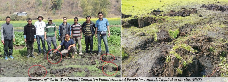 Members of World War Imphal Campaign Foundation and People for Animal, Thoubal at the site