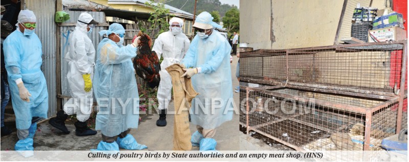 Culling of poultry birds by State authorities and an empty meat shop