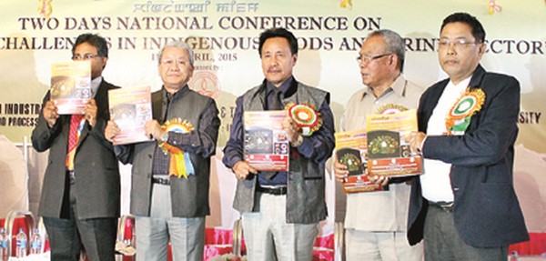 Dy CM Gaikhangam at the national conference 