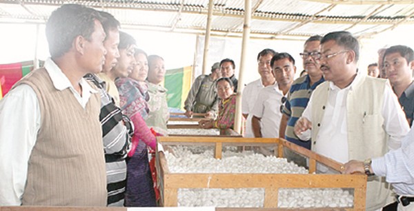 Sericulture Minister Govindas taking a closer look of a cocoon stall 