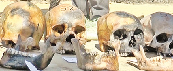 Skulls and skeletal remains discovered from Tombisana H/S 