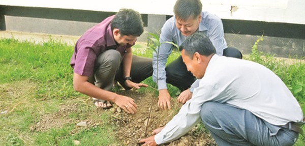 Planting saplings on the occasion of World Environment Day on June 5 2015