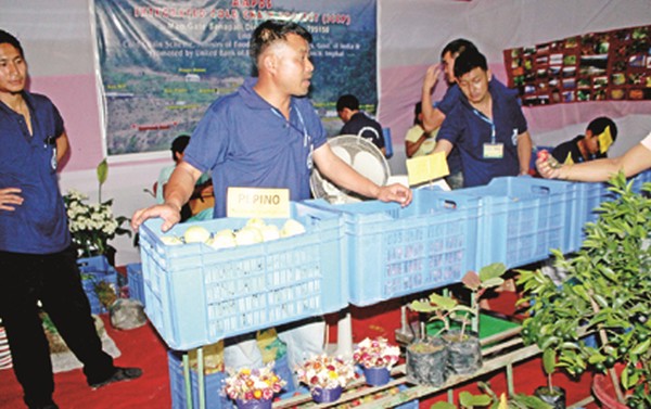 Exhibitor showcasing his cultivated products during the ongoing National Manipur Horticulture Expo, 2015 at Hatta Kangjeibung