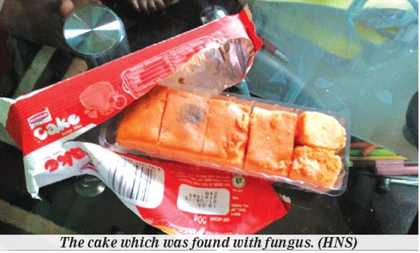 Fungus found in Britannia cake