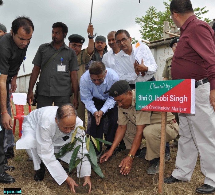 CM Ibobi planting a tree sapling at 66th Vanma-hotsava 2015 at Maharaj Gambhir Singh Memorial Complex, Lang-thabal on July 04 2015 