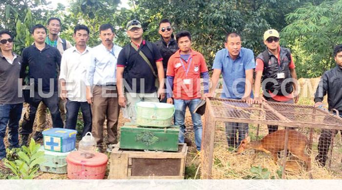 12 rare wild animals relocated in Yangoupokpi Lokchao Wildlife Sanctuary