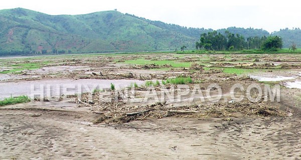 Special plan for flood affected farmers to grow winter crops
