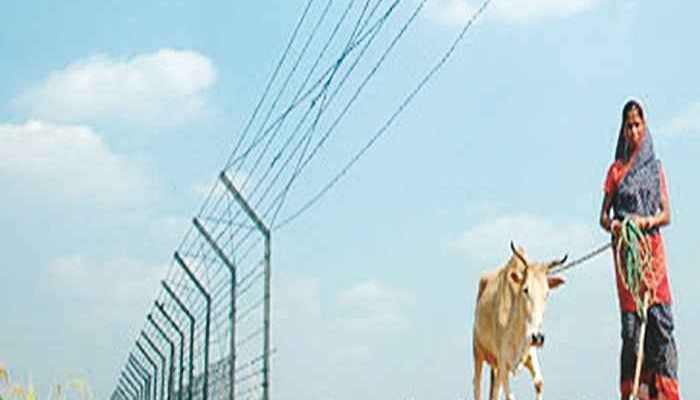 India-Bangla border in Assam to be sealed: Rajnath