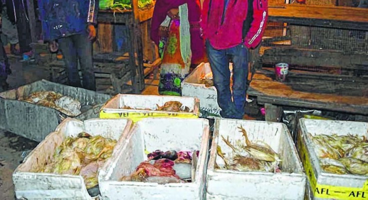 Police bust chicken centre for selling stale meat