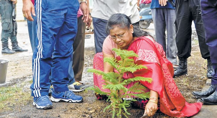 tree plantation programme led by Social Welfare Minister AK Mirabai