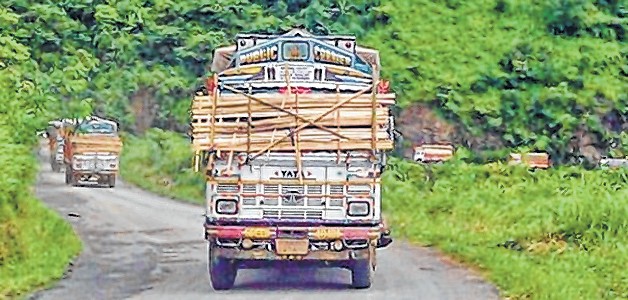  split bamboos being used to protect the windscreens of the goods trucks during an economic blockade