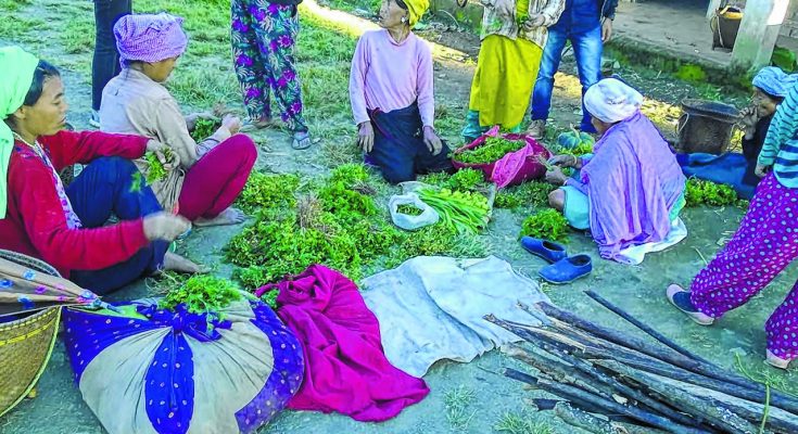 Machi village depends on terraced cultivation