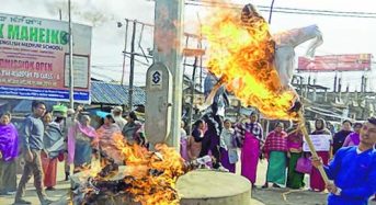 Demanding details of FA effigies burnt