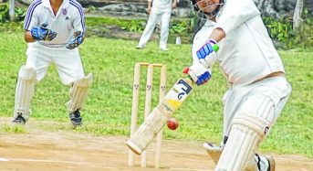NAPSA down DSU in MVCA veteran cricket