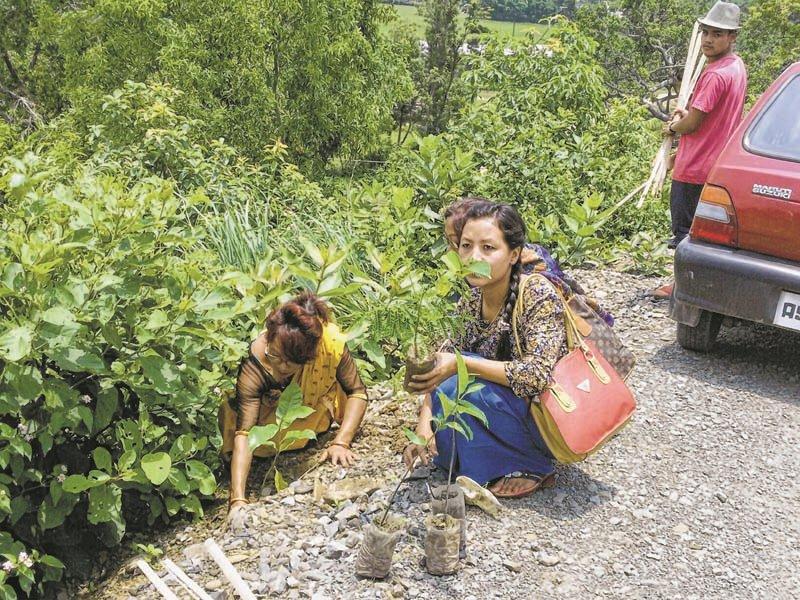 World Environment Day observed in Senapati