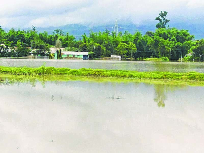 Flood damages properties