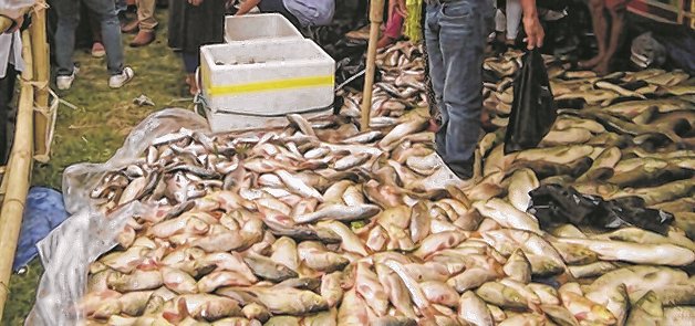Fish production at fish fair pegged at 90 thousand Kgs