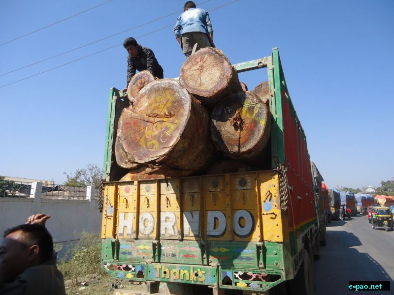 Illegal timber smuggling