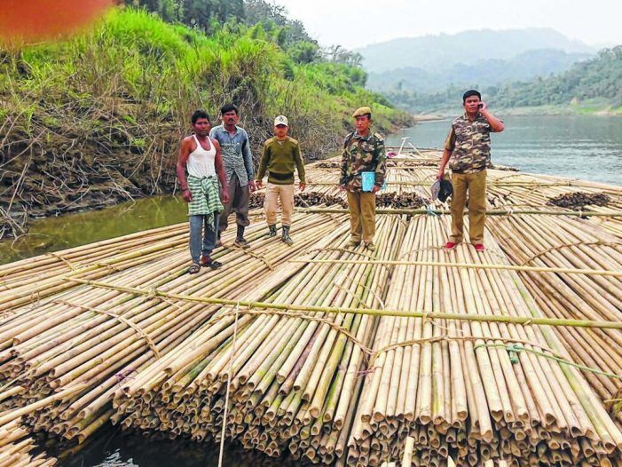Illegal bamboo transportation halted
