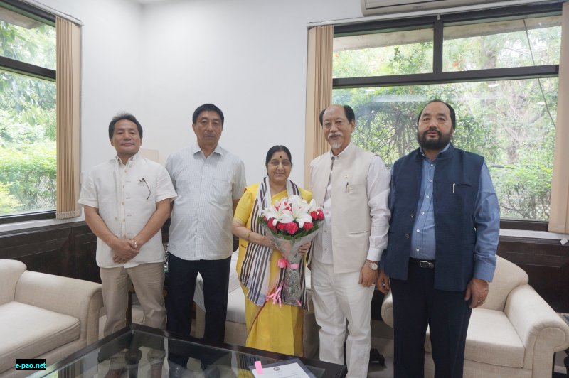 Nagaland Chief Minister calls on central leaders