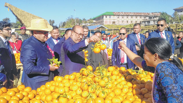 15th Orange Festival kicks off 