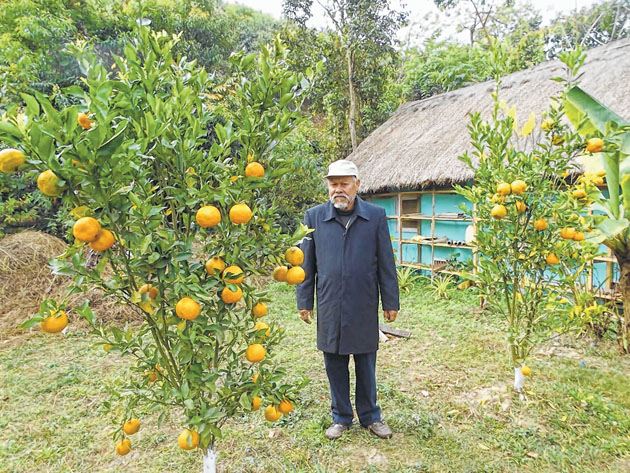 Organic lemon, orange orchard adorns IE