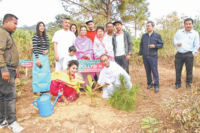 Plant a tree for every birth, marriage ceremony