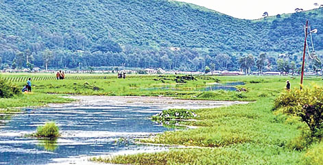 To tackle floods...4 water bodies to get face lift