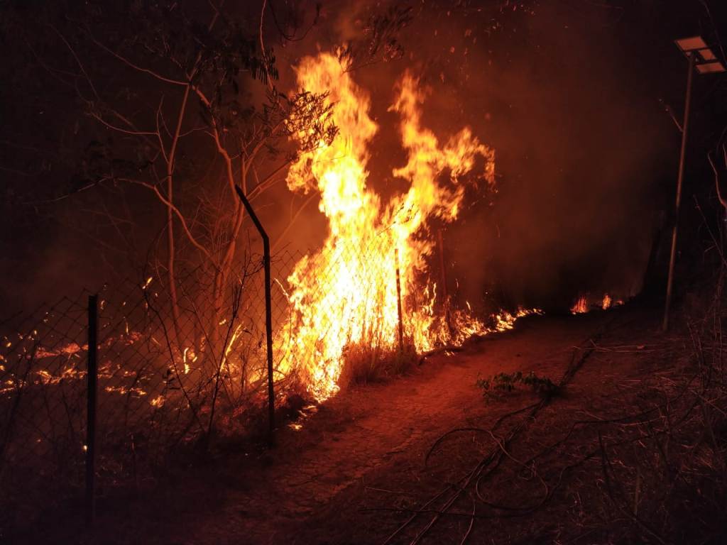 Assam Rifles saves village from Wild Fire
