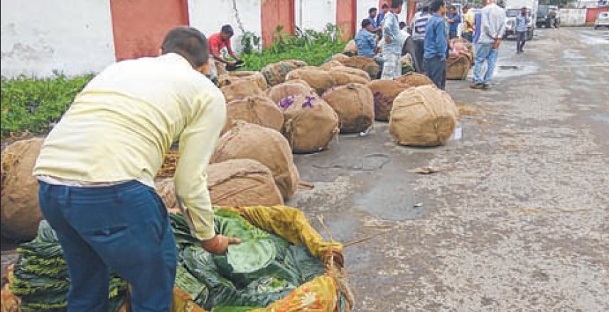 Forest Dept defies HC order, collects tax on betel leaves