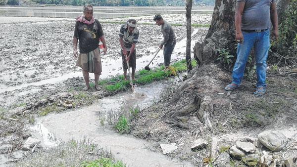 Water pumps give relief to Naoriya Pakhanglakpa farmers