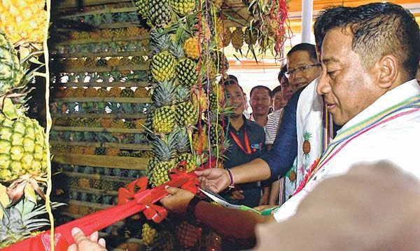 12th pineapple festival kicks off Shyamkr traces progress of festival