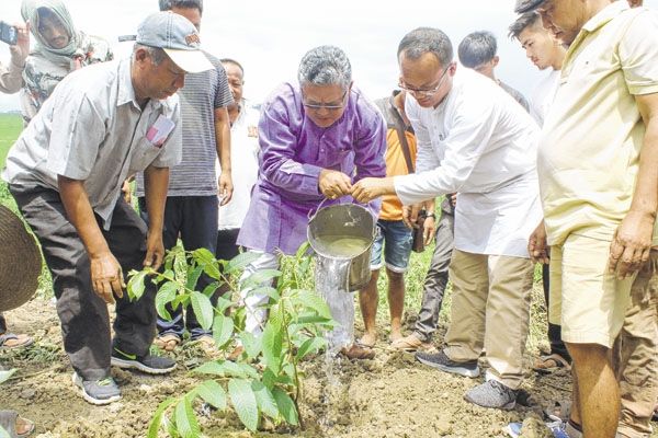 'Plant more trees, ensure their growth to beat climate change'
