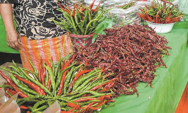 Sirarakhong Chilly Festival :: Manipur is a land of resources: Jayantakumar